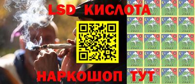 стаф Донской