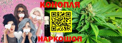 стаф Донской