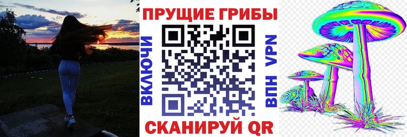 цена наркотик Новодвинск Псилоцибиновые грибы Magic Shrooms