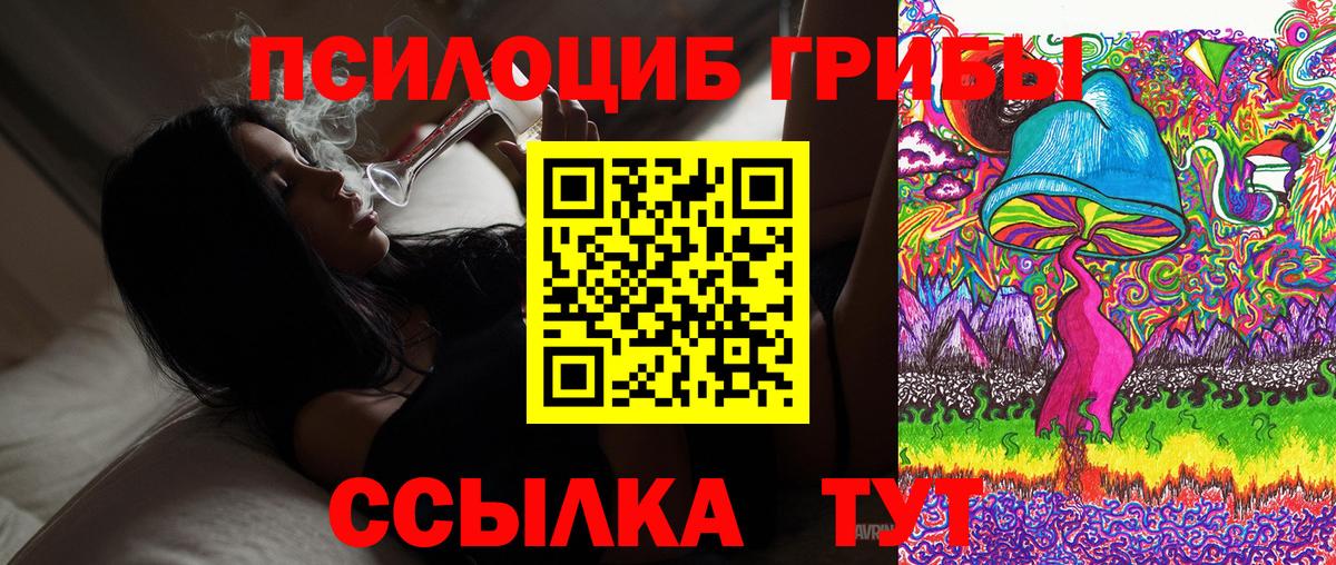 Галлюциногенные грибы Cubensis Новодвинск