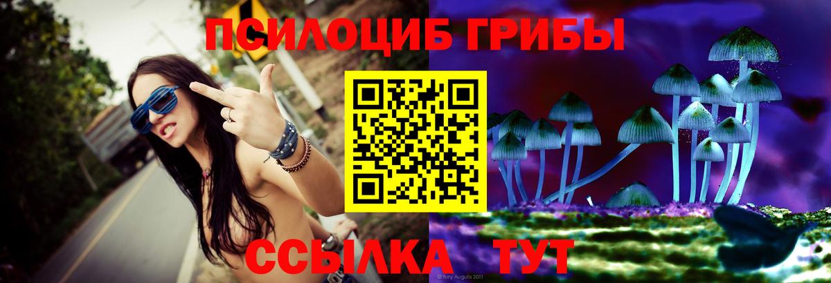 Галлюциногенные грибы прущие грибы  Вход с VPN  Новодвинск 